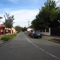 Strada Albinelor