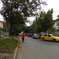 Strada Bradul