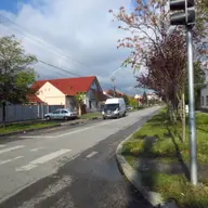 Strada Bujorilor