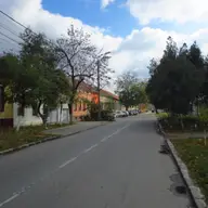 Strada Crizantemelor