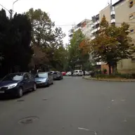 Strada Delfinului