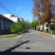 Strada Evlia Celebi (Paltinis)