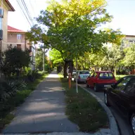 Strada Ioan Curea