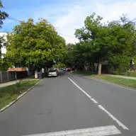 Strada Ion Roata