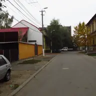 Strada Leului