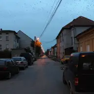 Strada Moise Nicoara