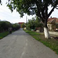 Strada Molidului