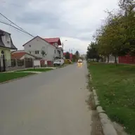 Strada Palmierilor
