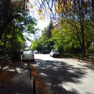 Strada Salciei