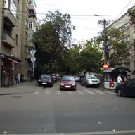 Strada Vasile Goldis