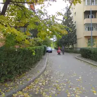 Aleea Smeurisului