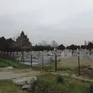Cimitirul Freidorf