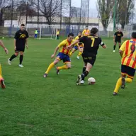 FC Ripensia 11-0 Timisul II Sag