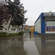 Intrarea Iederei