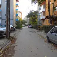 Intrarea Kodaly Zoltan