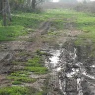 Timisoara intre civilizatie si primitiv