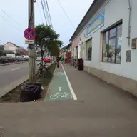 Pista bicicleta - Bulevardul Iuliu Maniu
