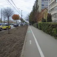 Pista bicicleta - Bulevardul Take Ionescu