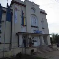 Politia Locala