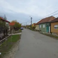 Strada Carabusului