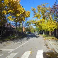 Strada Costinesti