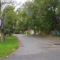 Strada Dumbrava Rosie