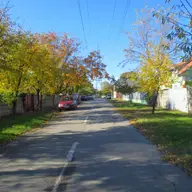 Strada Dumitrie Tichindeal