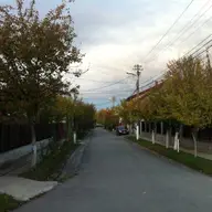 Strada Fermitatii
