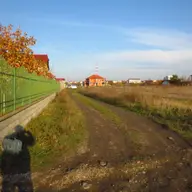 Strada Marius Moga