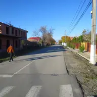 Strada Pelinului