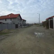 Strada Petuniei