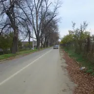 Strada Rozelor