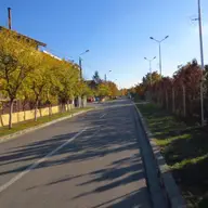 Strada Tibrului