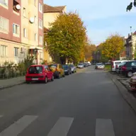 Strada Viorelelor
