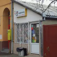 Ciuperca