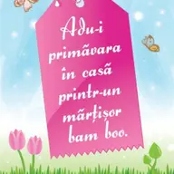 CAMPANIE DE MARTISOR LA BAM BOO