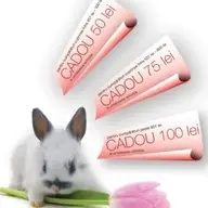 Oferta speciala de Paste la ECCO
