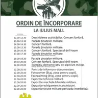 Ziua Armatei României