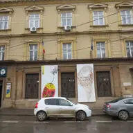 Biblioteca Judeteana Timis Sorin Titel