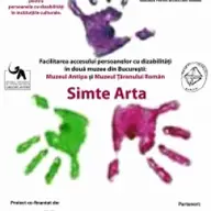 Simte Arta la Timisoara