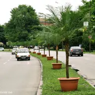Directia de Mediu a Primariei condusa de amatori?