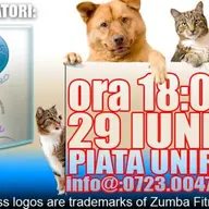 Fitness party in Piata Unirii