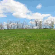 Acte necesare pentru emiterea Certificatului de Urbanism pentru scoatere din circuitul agricol