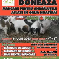 Doneaza mancare pentru animalute gazduite de ACT
