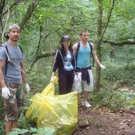 Actiune de ecologizare la Padurea Verde