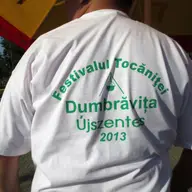 Festivalul Tocanitei Dumbravita 2013