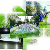 Horticultura