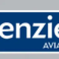 Agentia Menzies Aeroportul Traian Vuia