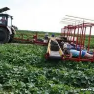 Recrutari pentru  munca in agricultura Germania