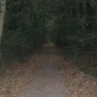 Timisoara - Fauna si Vegetatie